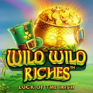 Wild Wild Riches